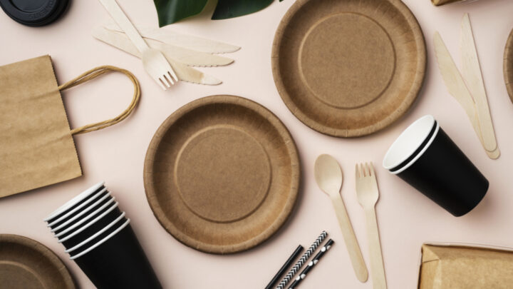 biodegradable tableware - Go Sustainable