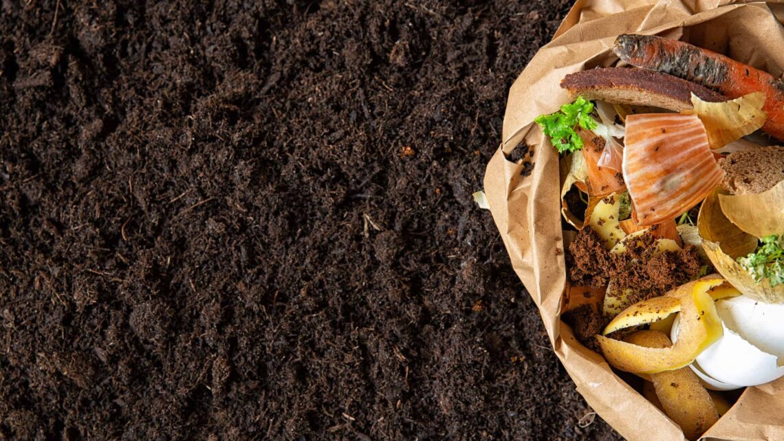 composting at home - Go Sustainable