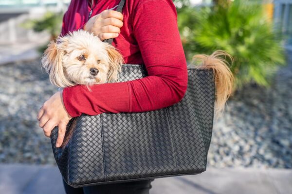 Luxury Woven Dog Purse Carrier - Cozy Vegan Faux Leather, Secure Harness Clip, Black Tote Bag for Small Dogs and Puppies - Image 4