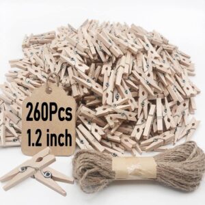 Mini Clothes Pins, 260 PCS Small Wooden Clothes Pin with Jute Twine