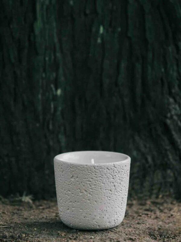 Wood Wick Soy Wax Scented Candle - Breath of Nature Scented - Fir Forest - Image 4