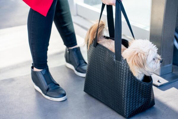 Luxury Woven Dog Purse Carrier - Cozy Vegan Faux Leather, Secure Harness Clip, Black Tote Bag for Small Dogs and Puppies - Image 8