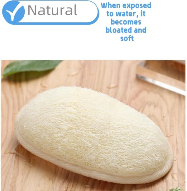 Exfoliating Loofah Pads,Made with Eco-Friendly and Biodegradable Shower Luffa Sponge Package (3Pcs) - Image 2